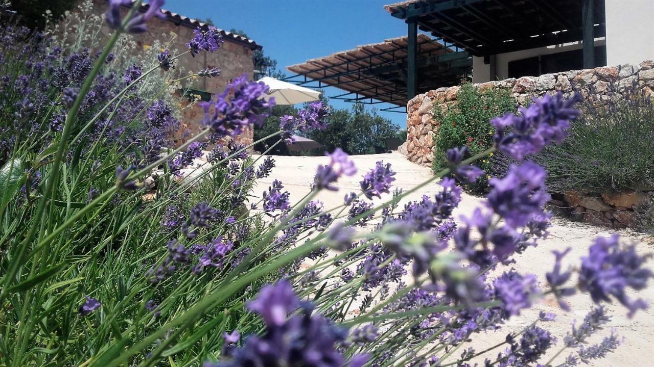 Lavender Hill Hvar Villa - Pool, Jacuzzi,Sauna,Bbq Стари Град Экстерьер фото