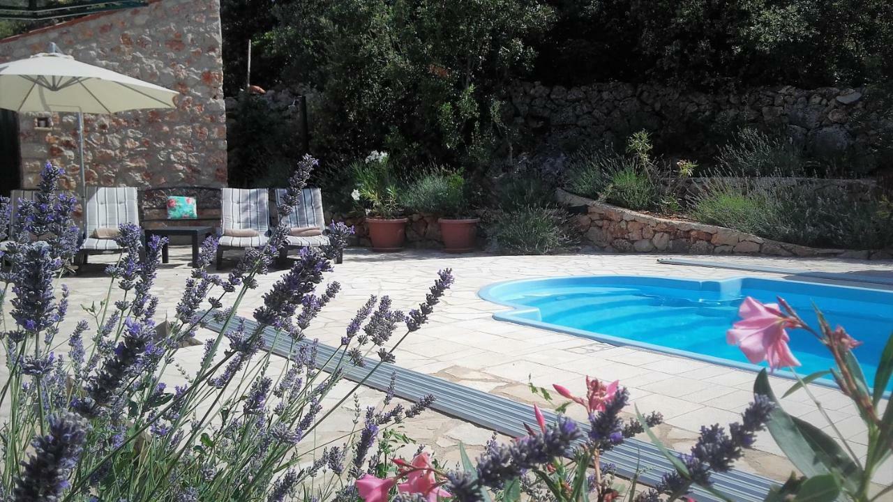 Lavender Hill Hvar Villa - Pool, Jacuzzi,Sauna,Bbq Стари Град Экстерьер фото